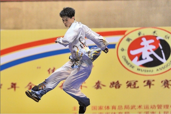2014“体彩杯”全国武术套路冠军赛在云南玉溪举办