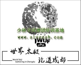 首届世界太极拳锦标赛在成都都江堰举行
