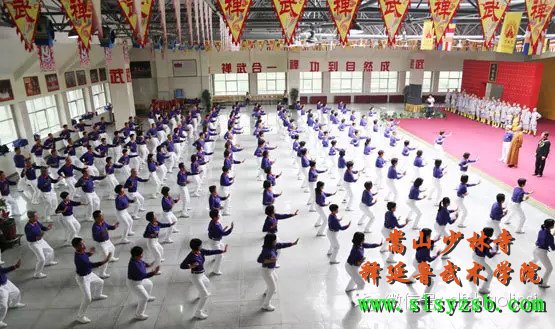 第二届少林武术气功中日港台地区文化学术交流会在武术学院成功举办 
