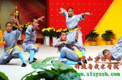 嵩山少林释延鲁武术学院学生在学校禅武厅表演少林象形拳！