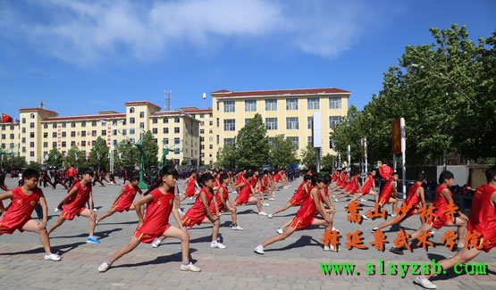 嵩山少林释延鲁武术学院学员正在进行每天的课前热身训练