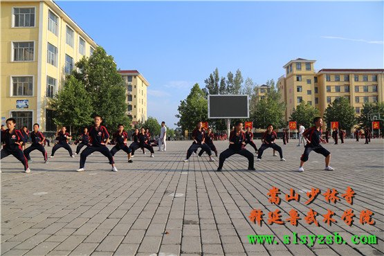 嵩山少林释延鲁武术学院学员正在认真学习少林功夫