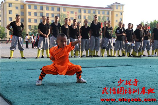 少林武校表演队学员正在练习武术套路