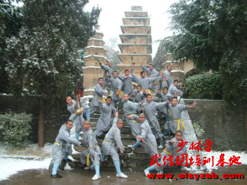 嵩山少林武术学校学生在少林塔林前合影留念!