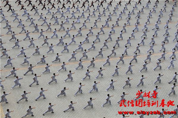 嵩山少林武术学校学生集体练习正宗少林功夫！