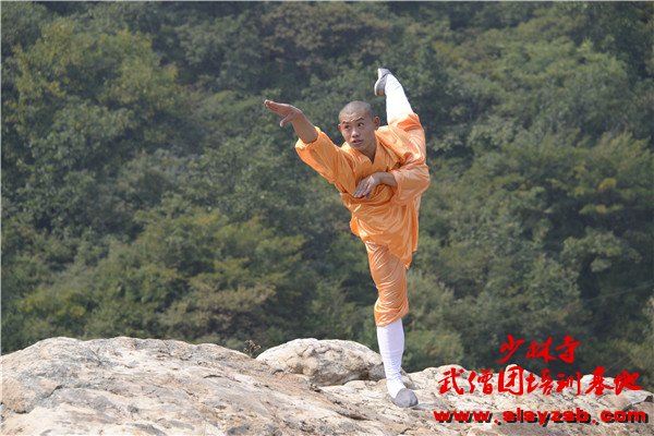 嵩山少林武术学校2016年招生条件！