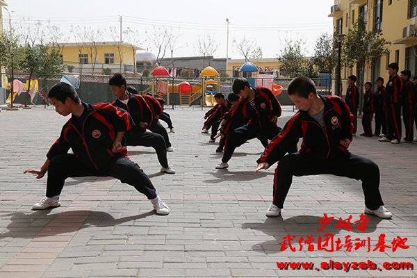 嵩山少林武术学校练习正宗少林功夫的学生 嵩山少林武术学校练习正宗少林功夫的学生