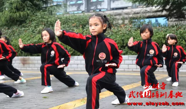 少林武校学生学习的少林套路 少林武校学生学习的少林套路