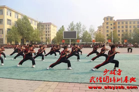 少林武术学校套路系的学生 少林武术学校套路系的学生