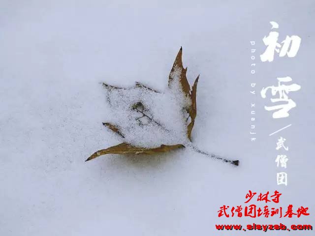 校园 | 延鲁武校第一场雪景明信片，快快收藏哦