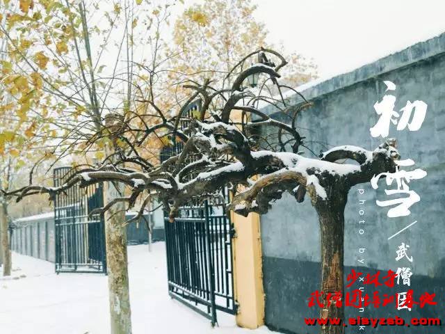 校园 | 延鲁武校第一场雪景明信片，快快收藏哦