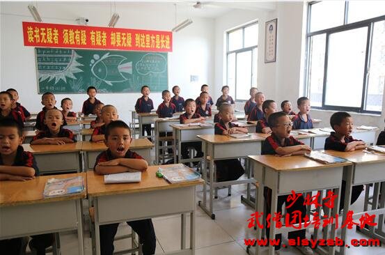 少林武术学校哪家好