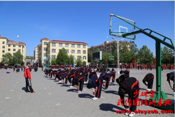 少林武术学校排名