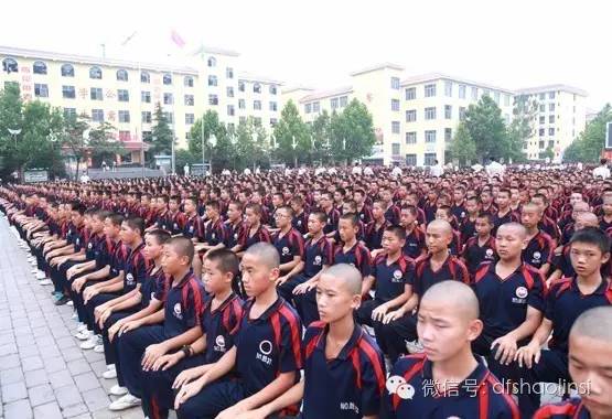 少林武校学员集体参加活动